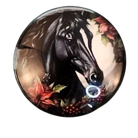 Set of 2 Black Horse Glass Cabochons 1 Inch Round, Floral Dome Craft Supply for - Picture 5 of 6